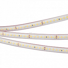 Лента светодиодная Arlight RTW 2-5000PS 24V Day5000 2x (2835, 160 LED/m, LUX) 024542