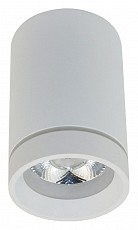 Накладной светильник Aployt Edda APL.0054.09.10