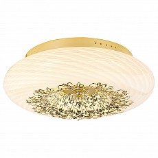 Накладной светильник Arte Lamp Zucca A9111PL-6GO