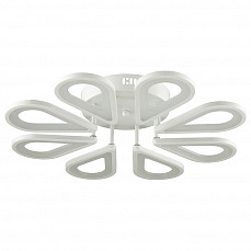 Накладной светильник Lumion Alodia 3668/72CL