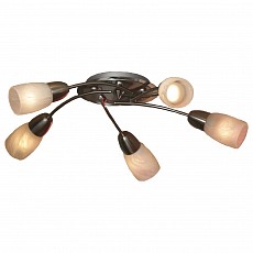 Потолочная люстра Lussole Cevedale LSQ-6907-05