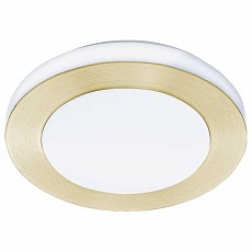 Накладной светильник Eglo Led Carpi 900369