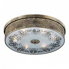 Накладной светильник Odeon Light Aster 2782/6C