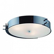 Накладной светильник ST-Luce Heggia SL484.402.04