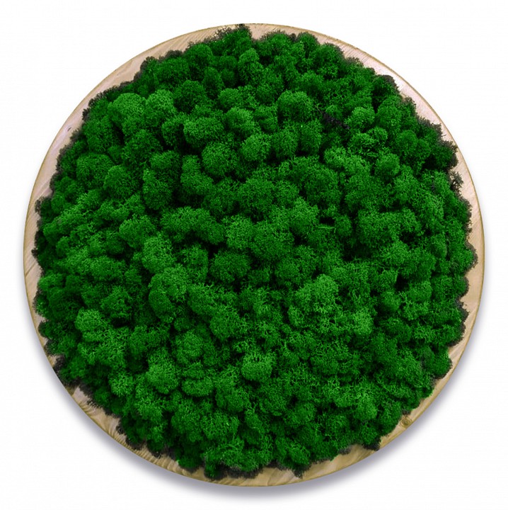 Панно (60x4x60 см) Круг Мох