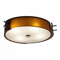 Накладной светильник ST-Luce Heggia SL484.702.04