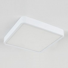 Накладной светильник Elektrostandard Fitta a043017