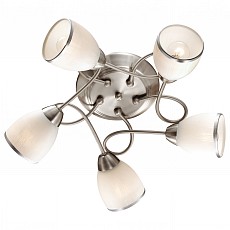 Потолочная люстра Odeon Light Foko 2562/5C