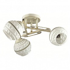 Потолочная люстра Lumion Tatina 3119/3C