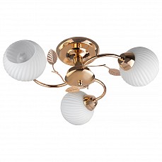 Люстра на штанге TopLight Maria TL3510X-03FG