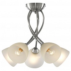 Потолочная люстра Arte Lamp Nikki A2576PL-5SS