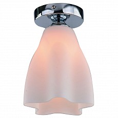 Накладной светильник Arte Lamp Canzone A3469PL-1CC