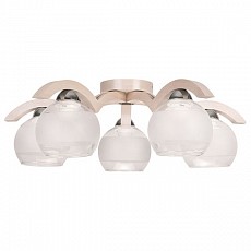 Потолочная люстра Eurosvet Mewa 755 Mewa 5