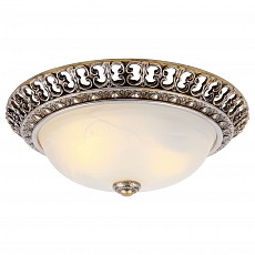 Накладной светильник Arte Lamp Torta A7132PL-2SA