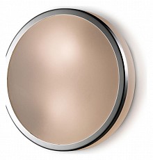 Накладной светильник Odeon Light Yun 2177/1C