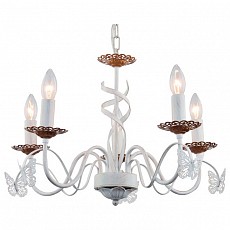 Подвесная люстра Arte Lamp Ali A6114LM-5WG