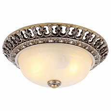 Накладной светильник Arte Lamp Torta A7131PL-2SA