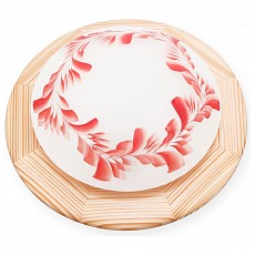 Накладной светильник TopLight Arialda TL9501Y-01PN