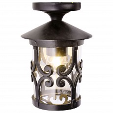 Накладной светильник Arte Lamp Persia 1 A1453PF-1BK