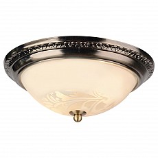 Накладной светильник Arte Lamp Alta A3009PL-2AB