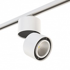 Накладной светильник Lightstar Forte Muro A1T214830