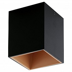 Накладной светильник Eglo ПРОМО Polasso 94496