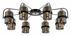 Потолочная люстра EVOLUCE Fiumo SLE102002-08