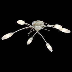 Потолочная люстра Maytoni Modern 7 MOD501-06-G