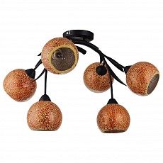 Потолочная люстра Lussole Bagheria LSF-6213-06