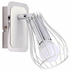 Спот Zumaline Oscar CK170519-1