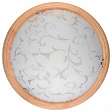 Накладной светильник TopLight Daniela TL9530Y-00PN