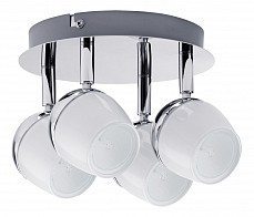 Спот Paulmann Theta 60292