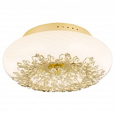 Накладной светильник Arte Lamp Zucca A9111PL-4GO