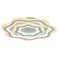 Накладной светильник F-promo Ledolution 2287-8C