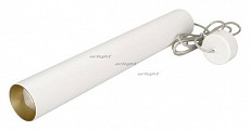 Подвесной светильник Arlight SP-POLO-HANG-LONG450-R65-8W White5000 (WH-GD, 40 deg) 027371