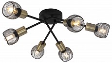 Потолочная люстра Globo Fiastra 54028-6S