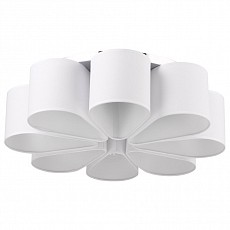 Потолочная люстра Escada Nerina 395/8PL