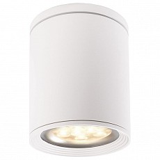 Накладной светильник Deko-Light Tubor 348015