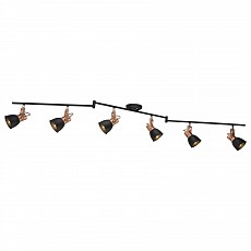 Спот Arte Lamp 1677 A1677PL-6BK