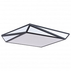 Накладной светильник Arte Lamp Multi-Piazza A1930PL-1BK