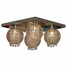 Накладной светильник Lussole Branca LSC-7907-04