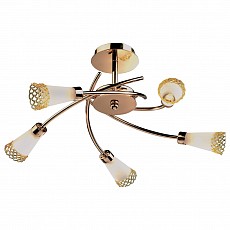 Люстра на штанге Odeon Light Coli 1805/5