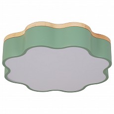 Накладной светильник Escada 10208 10208/1LED (Green)