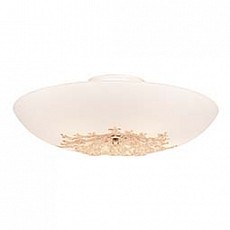 Накладной светильник SilverLight Verbena 835.50.5