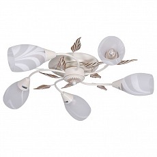 Потолочная люстра F-promo Plato 2444-5U