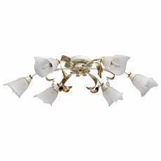 Настольная лампа декоративная MW-Light Восторг 21 242017406