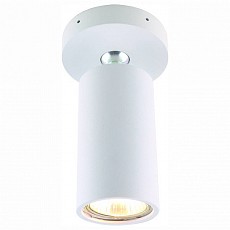 Спот Divinare Gavroche Volta 1968/03 PL-1