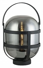 Торшер Lussole LSP-0602 LSP-0602