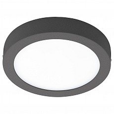 Накладной светильник Eglo ПРОМО Argolis-C 98173