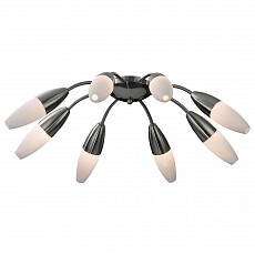 Потолочная люстра Odeon Light Chikko 2012/8C